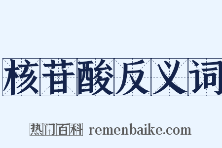 核苷酸反义词是什么意思的图片